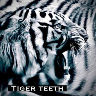 Tiger Teeth