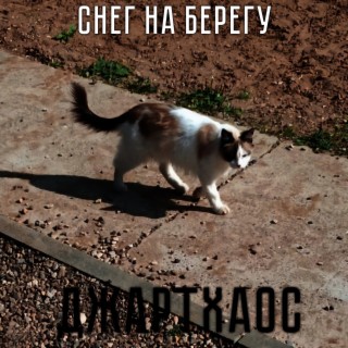 Снег на берегу