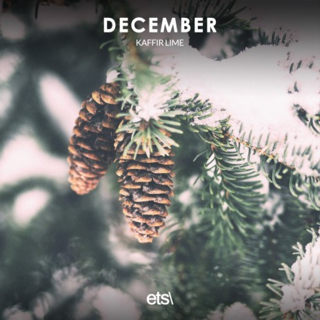 December (8D Audio)
