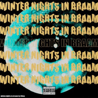 Winter Nights in Braam