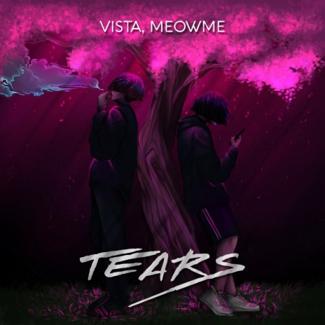 Tears ft. meowme | Boomplay Music
