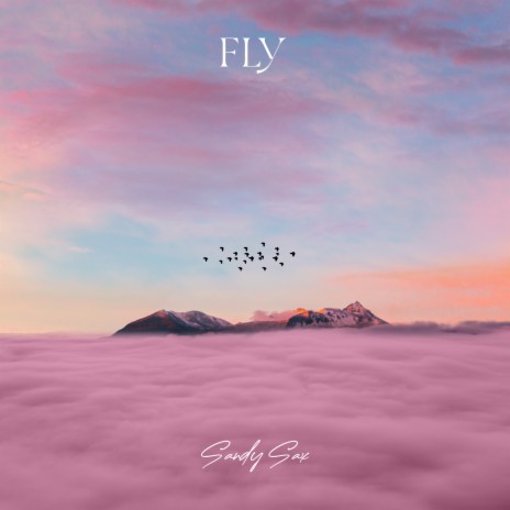 Fly (Radio Edit) | Boomplay Music