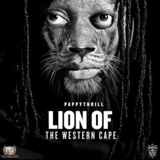 Lion of the Western Cape