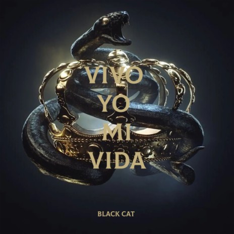 VIVO YO MI VIDA | Boomplay Music