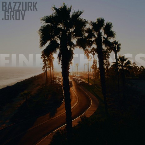 Finer Things ft. Bazzurk | Boomplay Music