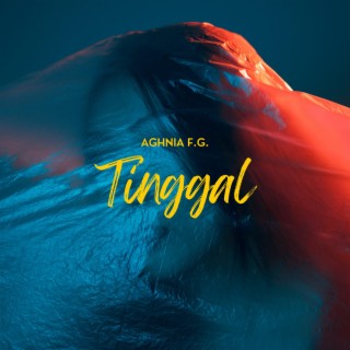 Tinggal