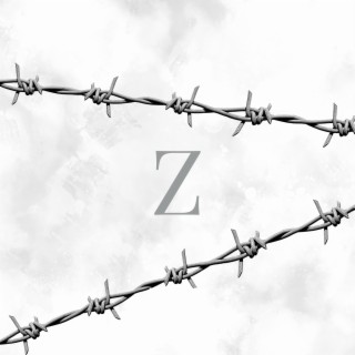 Z, Vol. 2 lyrics | Boomplay Music