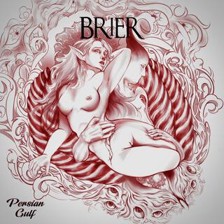 Brier lyrics | Boomplay Music