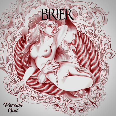 Brier | Boomplay Music