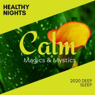 Healthy Nights - 2020 Deep Sleep