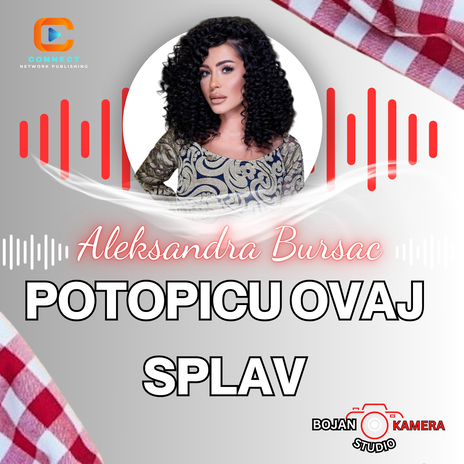 Potopicu ovaj splav (Live) | Boomplay Music