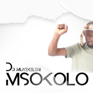 Msokolo