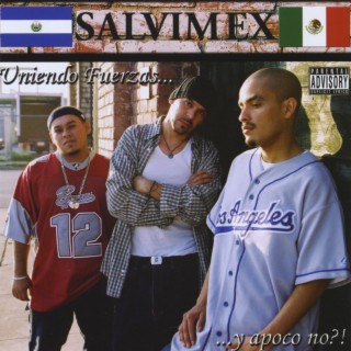 Salvimex