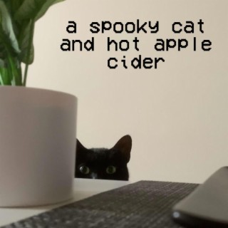 a spooky cat and hot apple cider