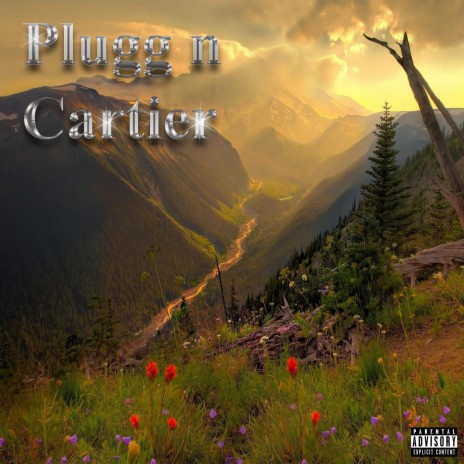 Plugg n Cartier ft. Rich Amiri | Boomplay Music