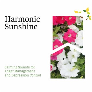 Harmonic Sunshine - Calming Sounds for Anger Management and Depression Control