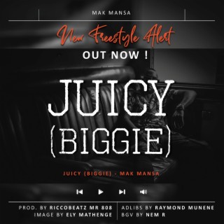 Juicy Biggie Freestyle lyrics | Boomplay Music