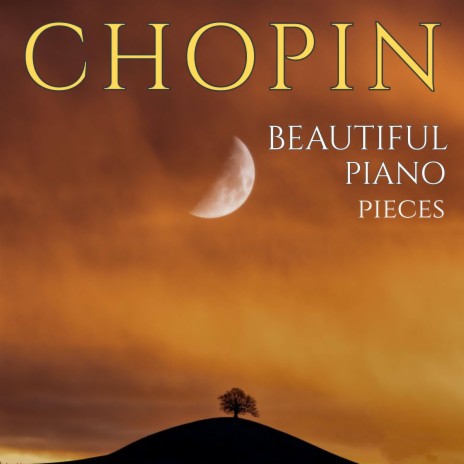 Prelude No.15 in D-Flat Major, Op.28: Frederic Chopin