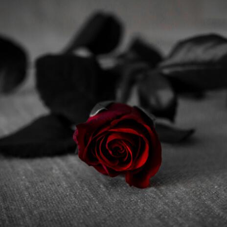 Red Rose