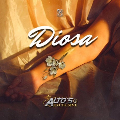 Diosa | Boomplay Music