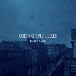 Quiet night in Brussels