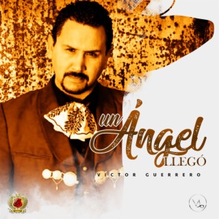 Un Angel Llego