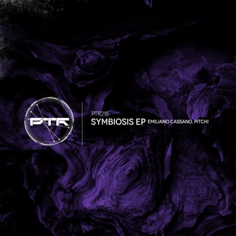 Symbiosis (Original Mix) ft. Pitch! | Boomplay Music