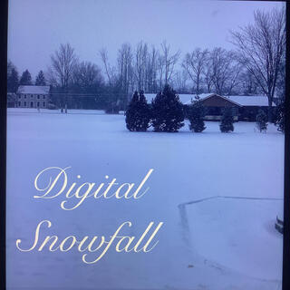 Digital Snowfall