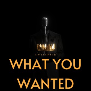 What You Wanted lyrics | Boomplay Music