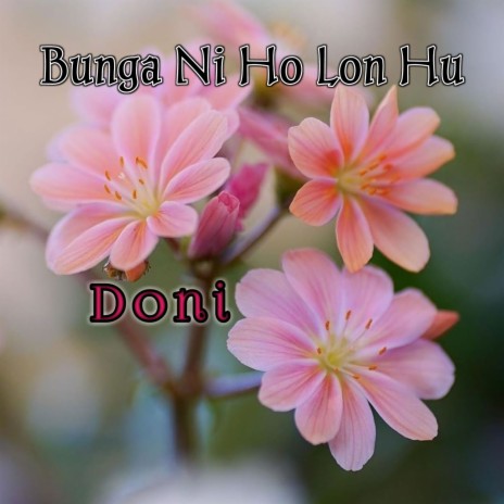 Bunga Ni Ho Lon Hu | Boomplay Music