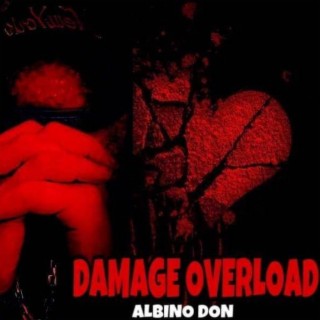 DAMAGE OVERLOAD lyrics | Boomplay Music