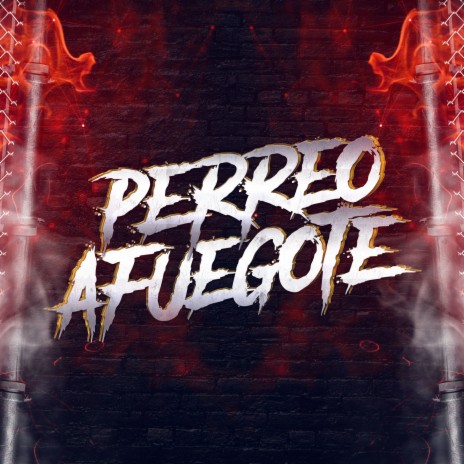 Perreo Afuegote | Boomplay Music