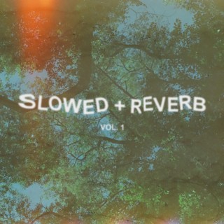 SLOWED + REVERB