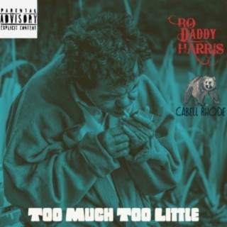 Too Much Too Little (feat. Bo Daddy Harris)
