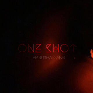 One Shot 2