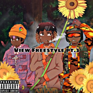 View Freestyle Pt. 3