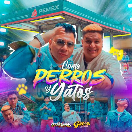 Como Perros y Gatos ft. La Perro Banda | Boomplay Music