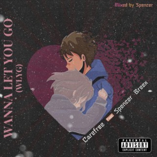Wanna Let You Go (WLYG) ft. Spencer Breex lyrics | Boomplay Music