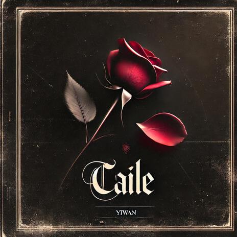 CAILE | Boomplay Music