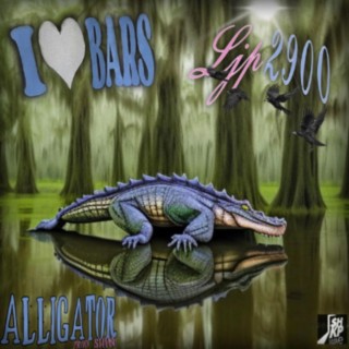 alligator