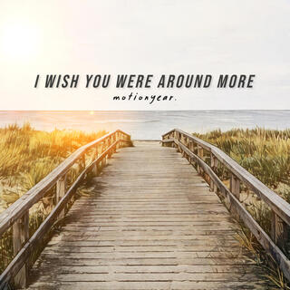 I Wish You Were Around More