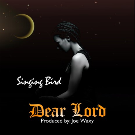 Dear Lord | Boomplay Music