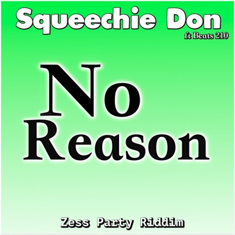 No Reason (Zess Party Riddim) (Radio Edit) ft. Beats 210 | Boomplay Music