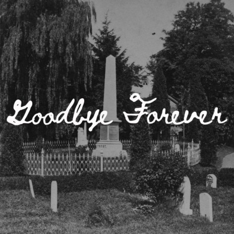 Goodbye forever