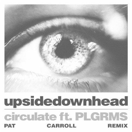 circulate ft. PLGRMS (Pat Carroll Remix) ft. PLGRMS | Boomplay Music