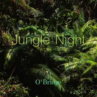 Jungle Night