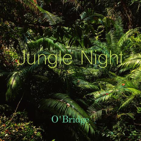 Jungle Night | Boomplay Music