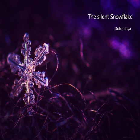 The silent snowflake | Boomplay Music