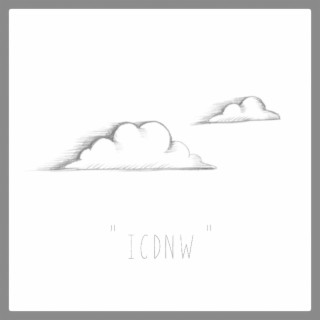 I.C.D.N.W