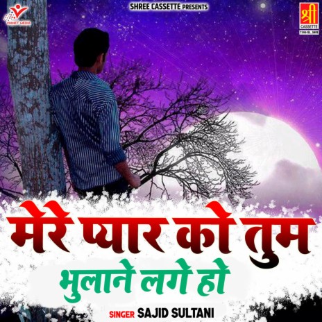 Mere Pyar Ko Tum Bhulane Lage Ho | Boomplay Music